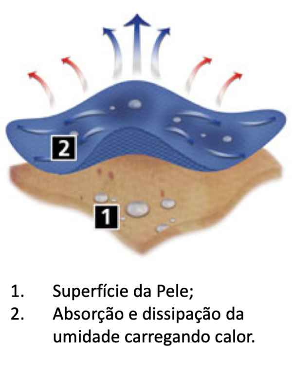 Sistema de Camadas em Vestuário - 1a Camada (Calor)