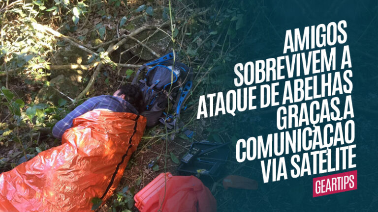 Amigos sobrevivem a ataque de abelhas graças a comunicação via satélite