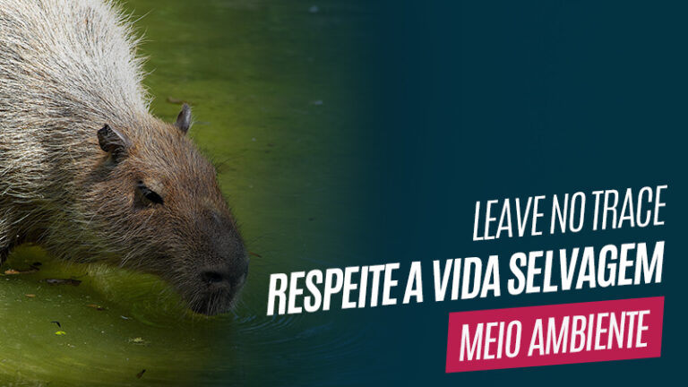 Respeite a vida selvagem - Leave no Trace