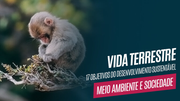 Objetivos do Desenvolvimento Sustentável - Vida Terrestre