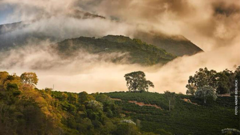 Café de Altitude