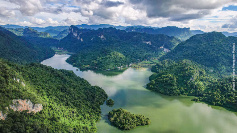Entenda a vegetação da sua aventura