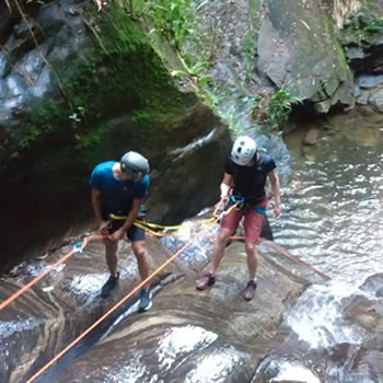 cruxeco-cascading-horto