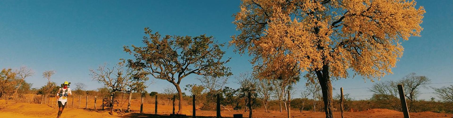 caminhos-de-rosa-maratona-capa
