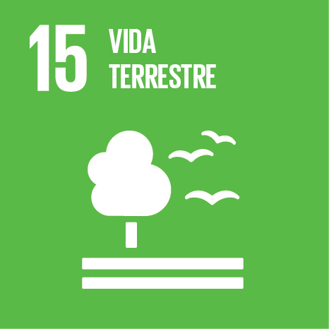 Objetivos Desenvolvimento Sustentável ONU -15 - Vida Terrestre