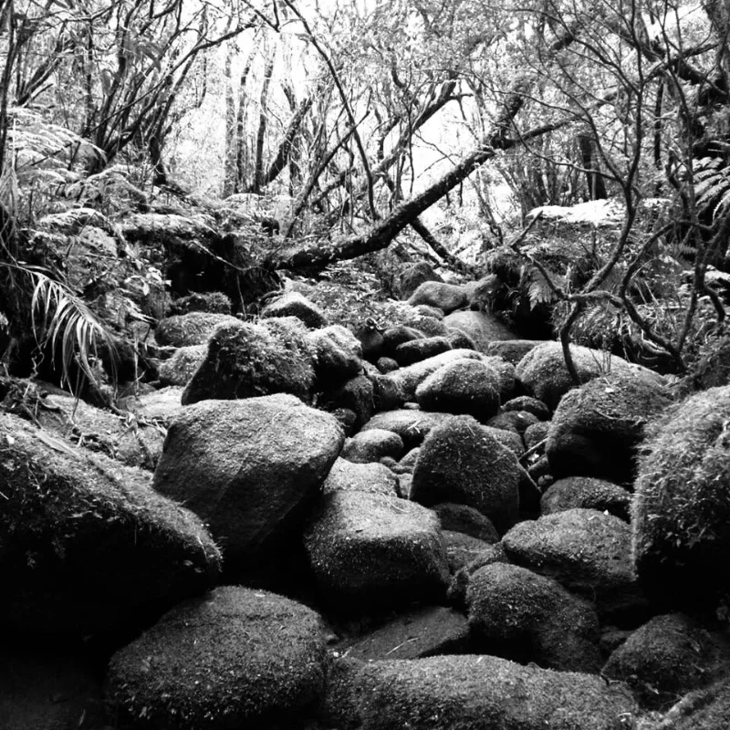Montanhismo e escalada - Tiaraju Fialho