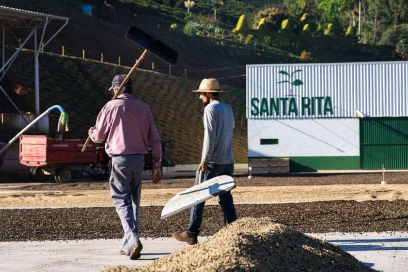 Terreiro de secagem do café - Sítio Santa Rita - foto: André Berlinck