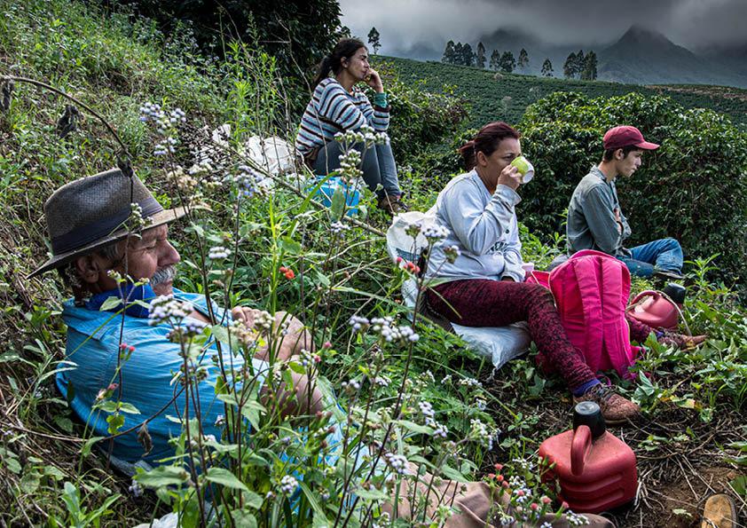 Colhedores em pausa para o café - foto: André Berlinck