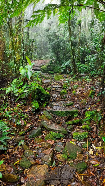 Montanhismo, saúde e bem-estar