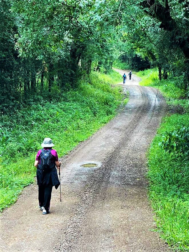 Caminho de Caravaggio - Rio Grande do Sul - Foto: Hélio Araújo